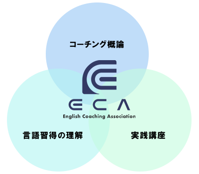 実践的な講座内容